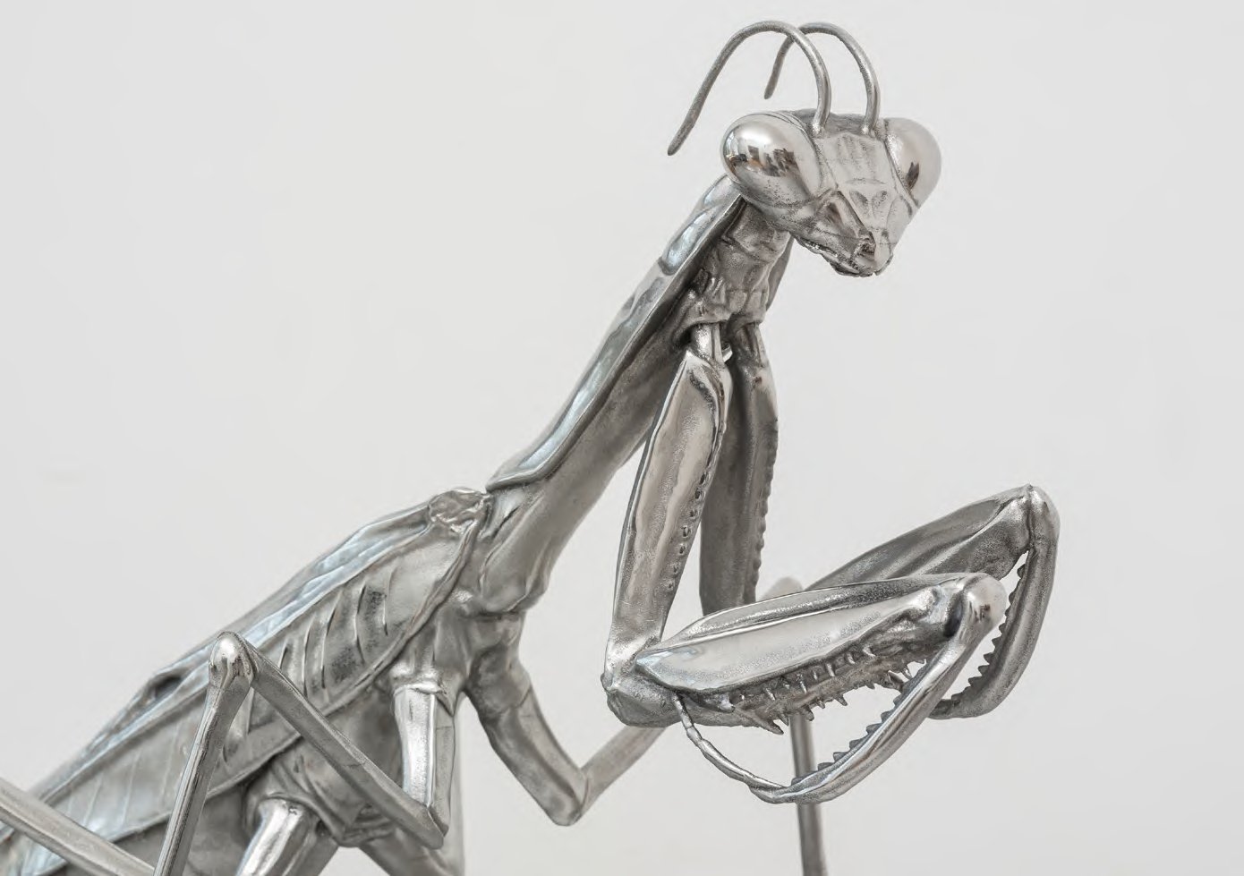 Scales of Anthropomorphism (Praying Mantis) (detail), 2024